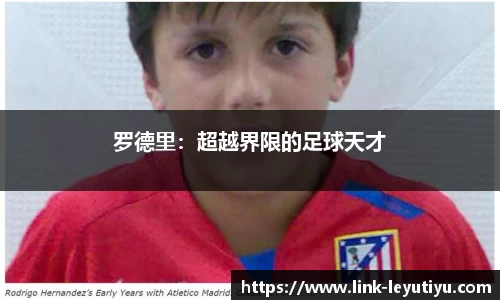 leyu乐鱼体育
